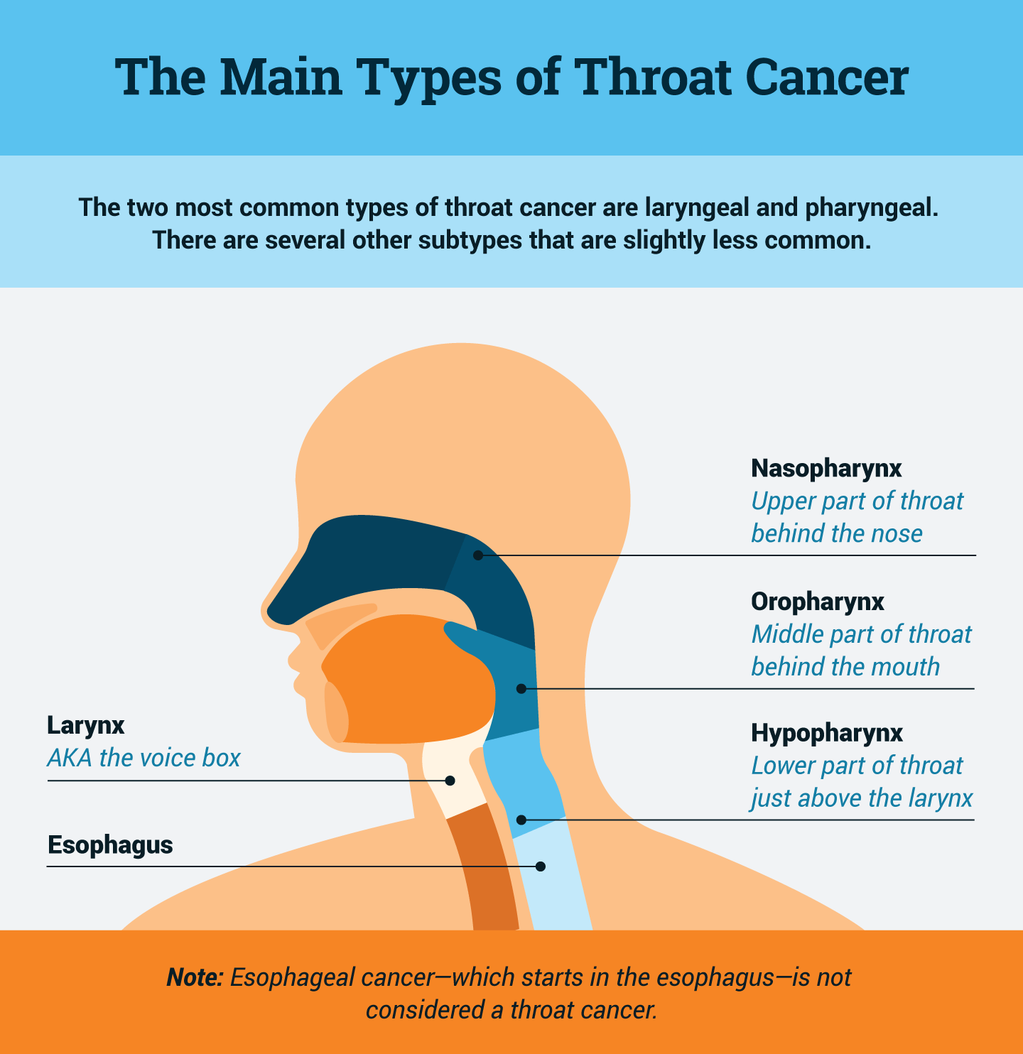 2023 Throat Cancer Statistics Top 40 Key Facts 2779